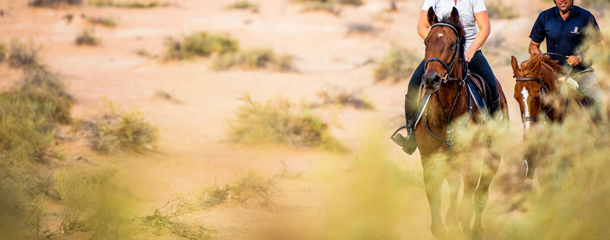 Desert Palm Riding School
